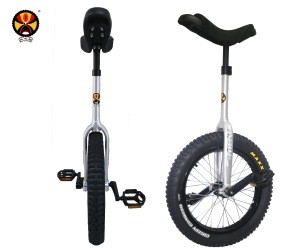 20&quot; Light Aluminum Unicycle Bicycle One Wheel Bike Monocycle TL-062-W