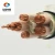 Import 25sqmm 35mm 50mm 70mm 95mm 120mm 150mm 185mm 240mm oxygen free copper core pvc insulated XLPE Power cable from China