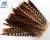 Import 35-40cm Natural Reeves Pheasant Feathers plumas de faisan from China