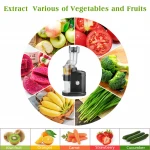 350W Premium national fruit slow Juicer machine