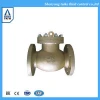 Stainless Steel WCB 3000 PSI Flanged CF3M Swing Check Valves
