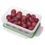 Import 5 piece 1000ML Microwave Safe Food Storage Meals Container Set For Fruit Vegetable Picnic Lunch Box from China