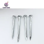 5kg 1kg Zinc Plated Hdg Roofing Nail Concrete Nail