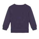 60% Cotton 40% Polyester Long Sleeve French Terry Boy`s Crew Neck Sweatshirt