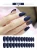 Import 8 colors coffin nail tips nail tips false clear nail tips from China