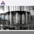 Import 98% Customer Bought Mini Fruit Juice Production Line With Cheap Price from China