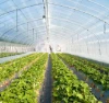 agricultural greenhouse plastic film