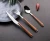 Import Amazon hot sale 24 pcs Spoons forks knives stainless steel dinner set plastic wood handle cutlery set from China