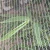 Anti- Hail Insect Netting Garden Net Agricultural Vegetable Plant Protect Netting Soft Insects Netting