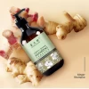 Anti Hair loss oil control bio  Ginger Shampo ginger lemon fragrance Shampoo 500ml OEM/ODM