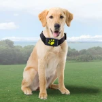 Anti-Lost Waterproof Smart Mini GPS Tracer Keys Wallet Bag Kids Pet Dog Cat Trackers