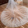 Appliques Heavy Beaded Long Lace Bridal Wedding Veil