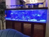 Aquarium accessories 4ft wifi 300w led aquarium light