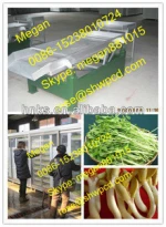 Automatic bean sprouts machine/used industrial washing machine /used industrial cleaning machine with cheap price