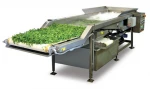 Automatic Multi-Function Air Bubble Fruit Vegetable Washer Washing Machine potato washing and peeling machine