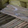 bamboo trellis