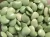 Import Best Price  Lima Beans from Bangladesh