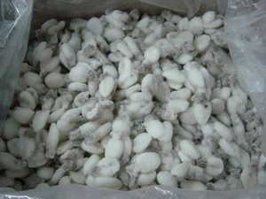 BEST QUALITY frozen baby octopus,BEST QUALITY frozen octopus,Dry octopus for sale