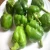 Import Best Quality Whole FRESH CAPSICUM from China