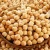 Import Best Selling Products Hulled Broomcron Millet With Good Quality from Singapore
