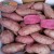 Import Best sweet potato buyers from China