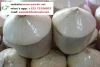 Big and Fresh green coconut from Africa-(what&#x27;s:+22575226037)