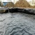 Import Biodegradable waterproof geomembrane for Fish Pool,agriculture isolation membrane from China