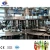 Import bottled  juice fruit juice bottling production line  filling capping processing machine bottles filling line machines from China