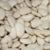 Bulk Lima Beans Big Size White Kidney Bean for Sale