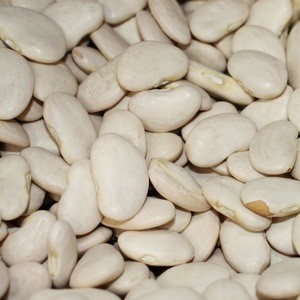 Bulk Lima Beans Big Size White Kidney Bean for Sale