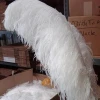 Bulk White Feathers Ostrich Feathers Artificial Ostrich Feathers