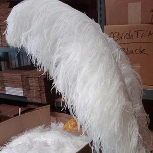 Bulk White Feathers Ostrich Feathers Artificial Ostrich Feathers
