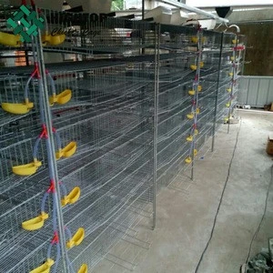 cages for quail prices /wire mesh quail cage / quail layer cage