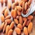 Import CALIFORNIA blanched almond/Almond Kernels/Apricot Kernel Almond for sale from Germany