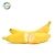 Import Cavendish Bananas Green For Exports A Type Of Carbohydrate Banana Fresh Fruit from Vietnam