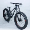 cebu brand new 7 speed ebike road electric 36v 10.4ah 26*4.0 fat tire bicycle mountain bike giant
