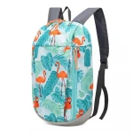 cheap blue print 1.43USD promotion  men and women leisure travel bag waterproof small size sports backpack