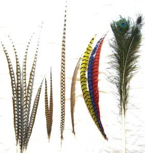 cheap dyed pheasant feathers for carnival