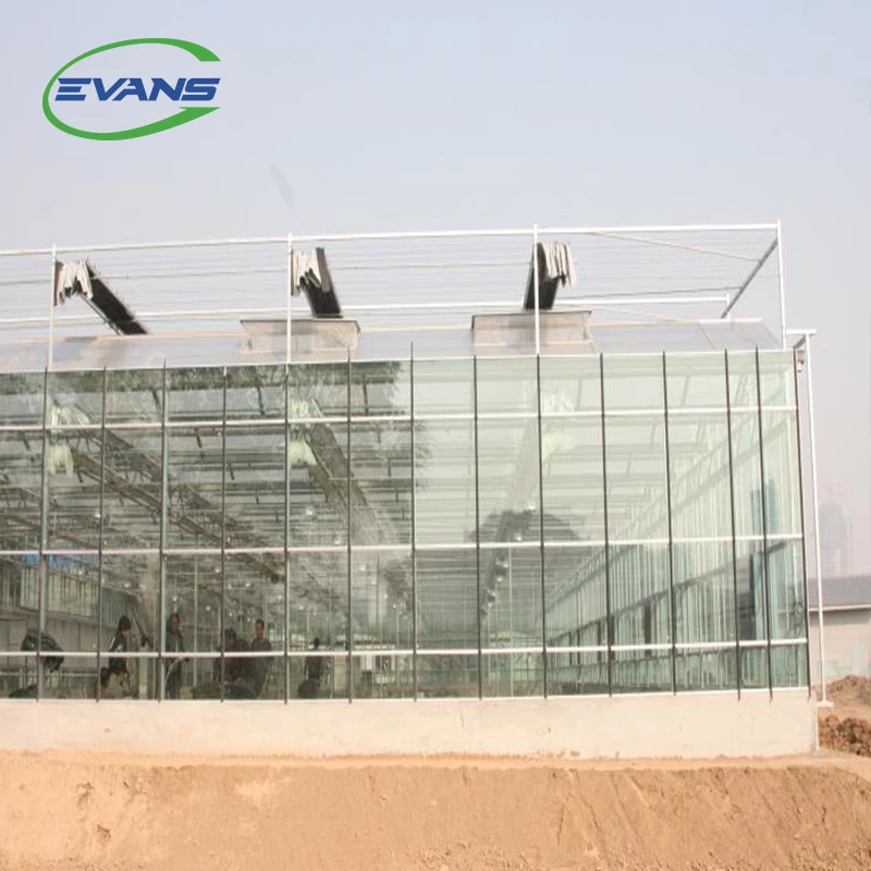 Cheap Hydroponic Agricultural Multi-span Glass Greenhouses