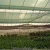 Import China 100% HDPE sun screen net shade net fabric with trade assurance from China