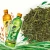 Import China Chinese Manufacturer Flecha Quality Best Health Benefits Natural Fat Burner Slim Detox Organic Certified Sencha Green Tea from China