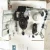 Import China Foton truck K1371010011A0	Right FRONT Combination Lamp Assy Foton spare parts Hot sale from China
