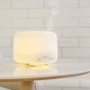 China professional manufacturer wholesale aromatherapy diffuser power 500ml essential oil ultrasonic humidifier