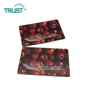 China Supplier 13.56MHZ RFID Smart Plastic Card Access Control Plastic ID Card