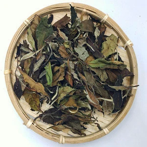 China Tea Yunnan Big Leaf Organic 500g Loose Tea Organic Puer Tea