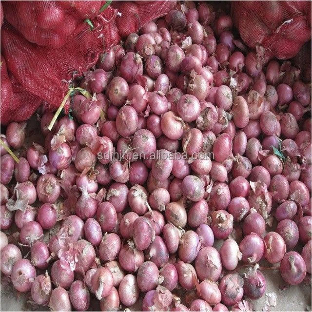 China wholesale onion hot sale