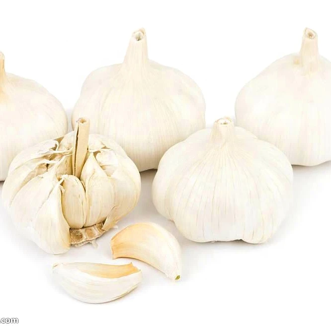 Chinese vegetable seeds garlic supplier in Jining China