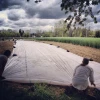Colored Plant Protection Cover PP agricultural Non Woven Fabrics
