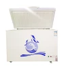Commerical mini 12V deep and chest refrigerator freezer