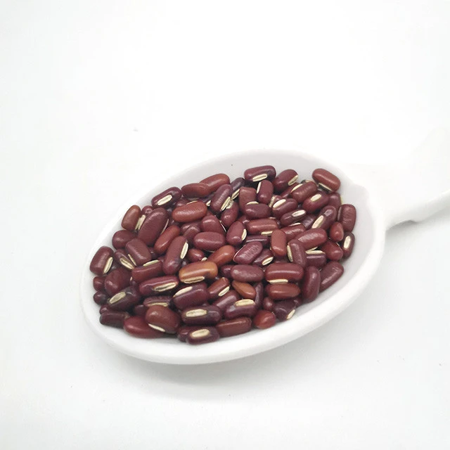 Food Grade Red Kidney beans